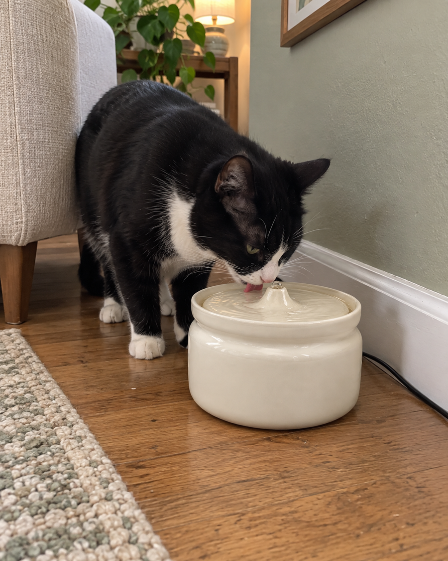 A still bowl is easy to ignore. Moving water isn’t.
