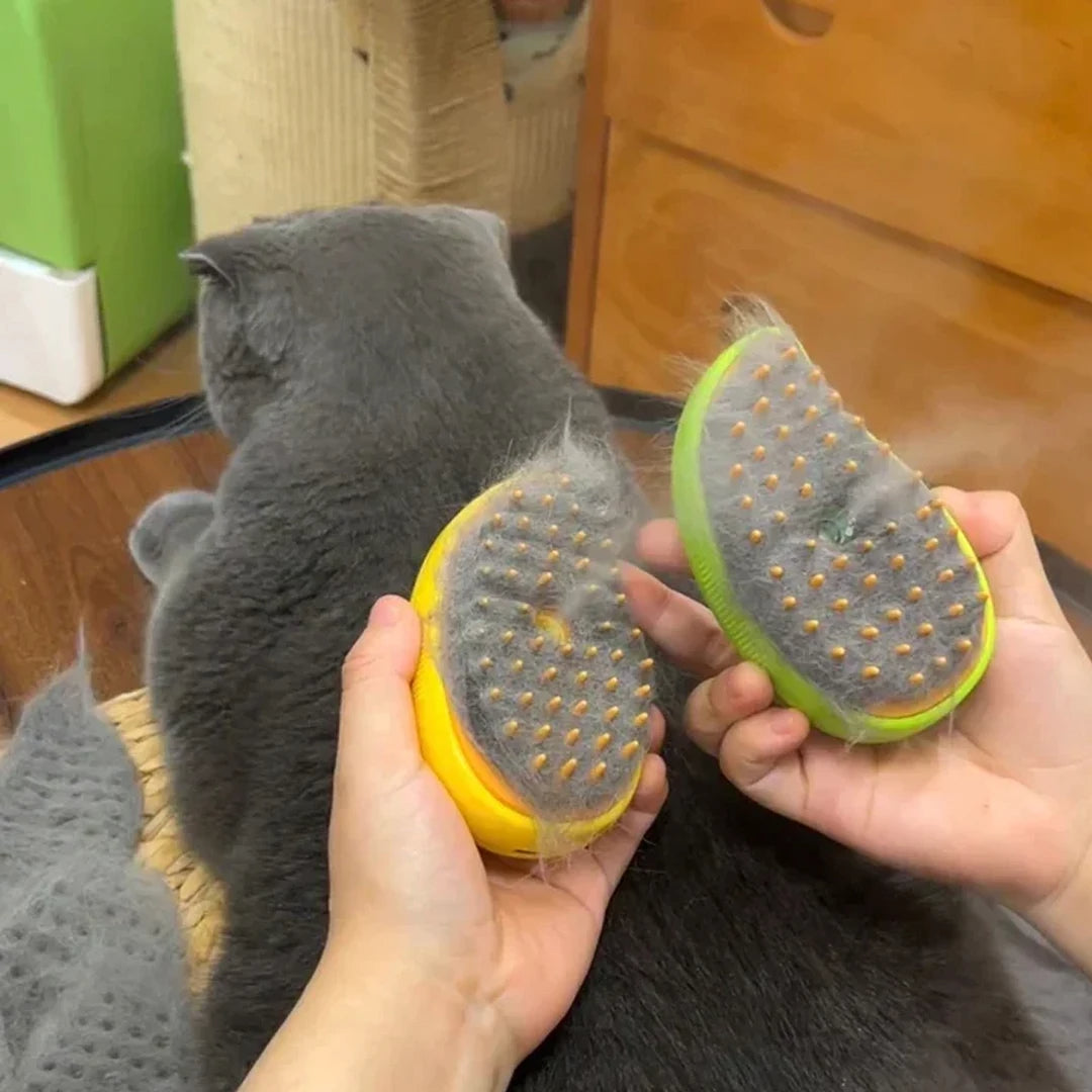 Pet Grooming Brush