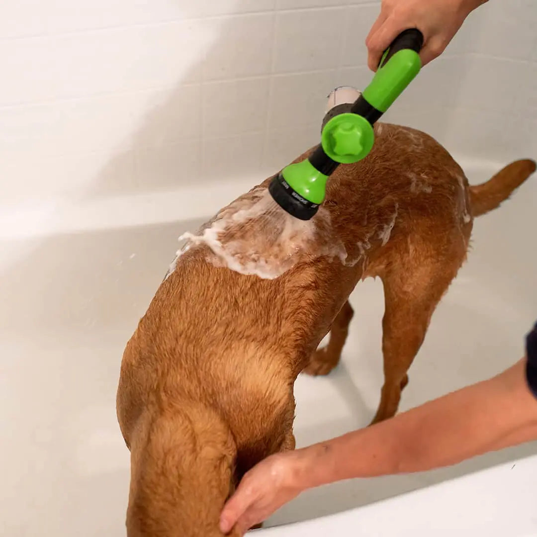 Dog Shower Jet