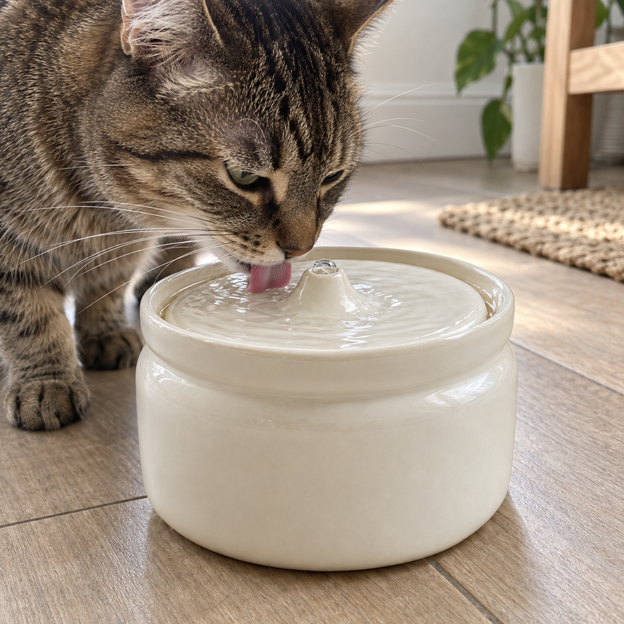 Purrlap cat water fountain