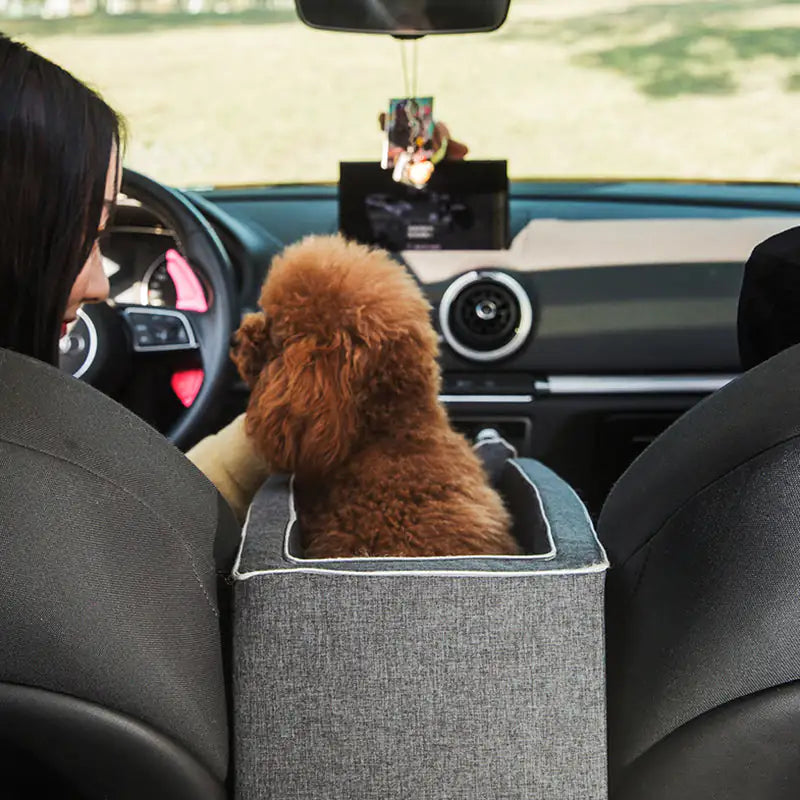 Pet Carpool Seat